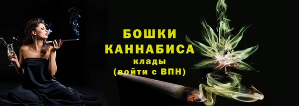 гидра Новодвинск