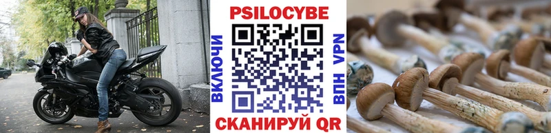 ОМГ ОМГ как войти  Петровск-Забайкальский  Галлюциногенные грибы прущие грибы  наркота 
